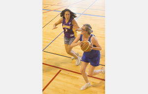 59521af0bf4f3_Basket066.jpg