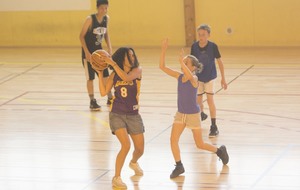 59521af14a530_Basket084.jpg